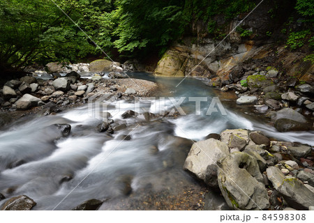 八方ヶ原、トレッキング、たかはら、矢板、栃木県 84598308