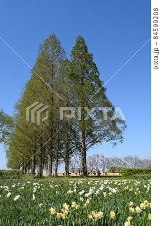 吉見総合運動公園 84599208