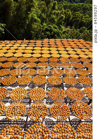 Process of Making Dried Persimmon during Windy Autumn in Hsinpu (With Chinese Name of the Factory"Wei Wei Gia") , Hsinchu, Taiwan. 84599297