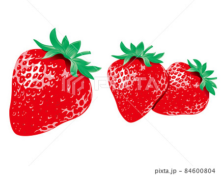 リアルな苺のイラスト(果物、フルーツ、ストロベリー) 84600804