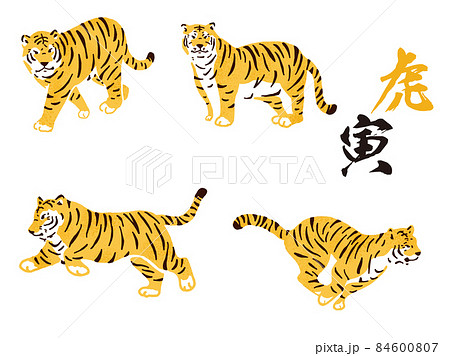 虎のイラスト:動物、干支、十二支、寅、可愛い、トラ、お正月、寅年、和、ネコ科、可愛い、かっこいい、虎 84600807