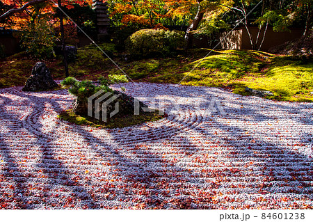 日本遺産 松島 円通寺 石庭の紅葉 日本遺産 松島 円通寺 石庭の紅葉 84601238