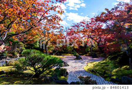 日本遺産　松島　円通寺　石庭の紅葉 84601413