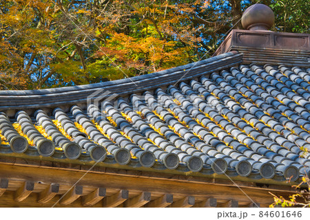 大分県豊後高田市にある富貴寺のイチョウの葉が落ちた屋根 84601646