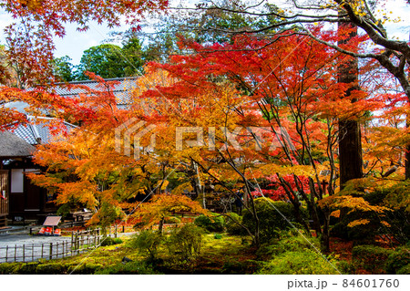 日本遺産 松島 円通寺 本堂大悲亭(だいひてい)と小堀遠州作の庭 日本遺産 松島 円通寺 本堂大悲亭(だいひてい)と小堀遠州作の庭 84601760