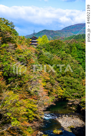 仙台市 定義 浄土宗極楽山西方寺 定義橋から望む五重塔 仙台市 定義 浄土宗極楽山西方寺 定義橋から望む五重塔 84602199