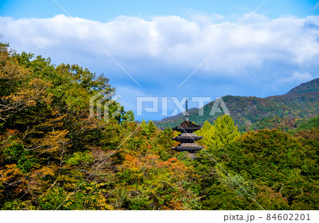 仙台市　定義　浄土宗極楽山西方寺　定義橋から望む五重塔 84602201