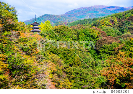仙台市 定義 浄土宗極楽山西方寺 定義橋から望む五重塔 仙台市 定義 浄土宗極楽山西方寺 定義橋から望む五重塔 84602202