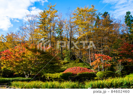 仙台市 定義 浄土宗極楽山西方寺 定義如来の庭園 仙台市 定義 浄土宗極楽山西方寺 定義如来の庭園 84602460