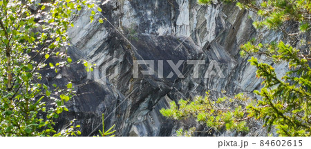 Marble rock cliff edge with trees 84602615