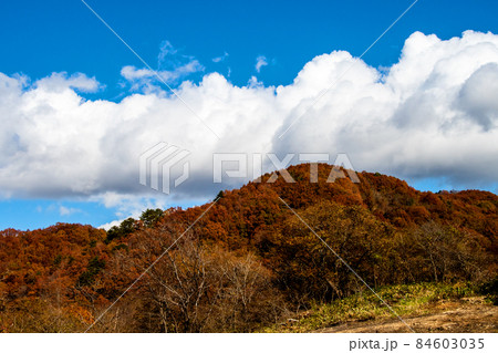 仙台市 定義 平家の落人の里 紅葉のブナの森 仙台市 定義 平家の落人の里 紅葉のブナの森 84603035
