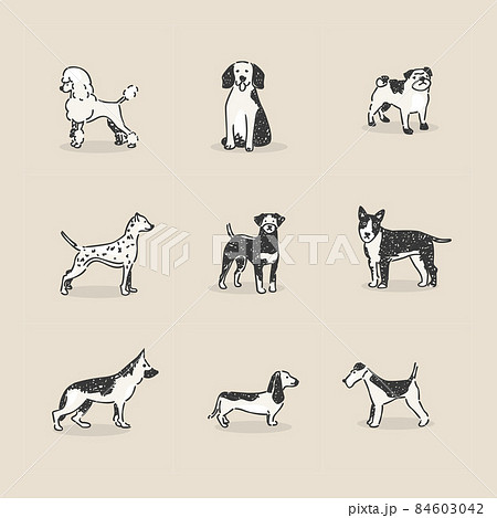 スタイリッシュな犬のアバター（イラストアイコン） 84603042
