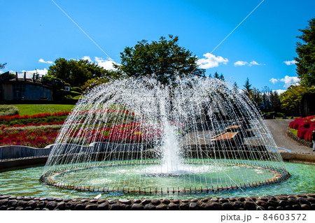営みちのく杜の湖畔公園　彩の広場　陽光に輝く噴水 84603572