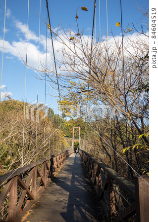観音山公園の吊橋　高崎市 84604519