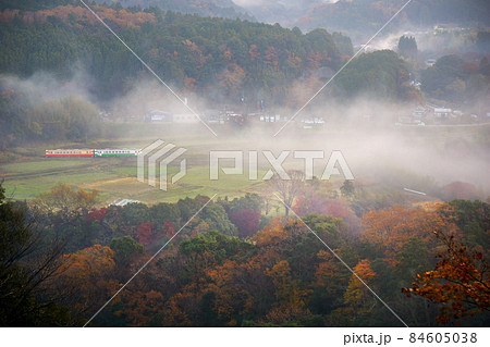 朝霧の紅葉の里山とレトロ列車 小湊鉄道 朝霧の紅葉の里山とレトロ列車 小湊鉄道 84605038