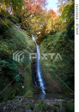 金神の滝と紅葉　養老渓谷 84605042
