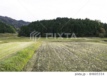 山口県周南市八代のナベヅル飛来地の風景 山口県周南市八代のナベヅル飛来地の風景 84605554
