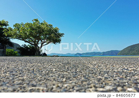 奄美の加計呂麻島の諸鈍の浜 84605677