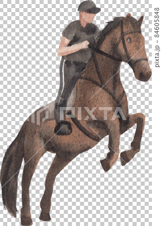 horse in equestrian sport competition. Horse riding on the arena. Dressage test. Equestrian competitions, horse detour. 84605848