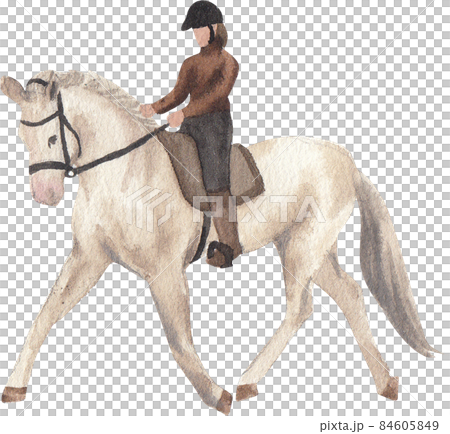 horse in equestrian sport competition. Horse riding on the arena. Dressage test. Equestrian competitions, horse detour. 84605849