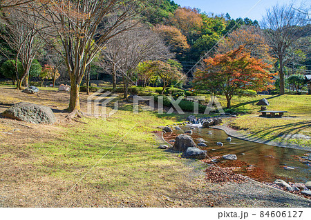 小平の里　親水公園　紅葉の季節　秋の風景 84606127