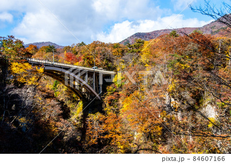 栗駒国定公園　鳴子峡と花渕山の紅葉　回顧橋へ下る遊歩道から 84607166