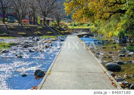 小平の里　親水公園　小平川　紅葉の季節　秋の風景 84607180