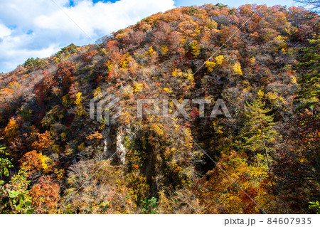 栗駒国定公園 鳴子峡の紅葉 レストハウス周辺の展望デッキから 栗駒国定公園 鳴子峡の紅葉 レストハウス周辺の展望デッキから 84607935