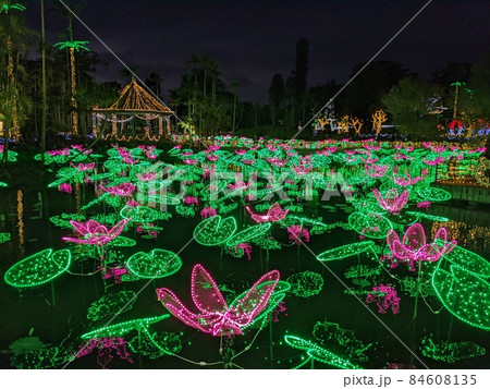 ライトアップ夜景 84608135