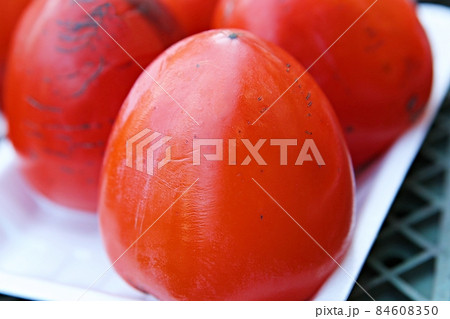 デボン 年始 熟柿 84608350