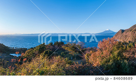 初冬の伊豆半島 井田から見る富士山の風景 初冬の伊豆半島 井田から見る富士山の風景 84608689