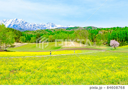 中山高原(春) 中山高原(春) 84608768