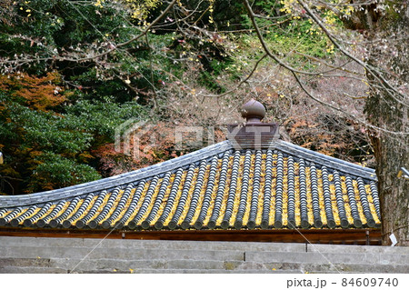 秋の富貴寺大堂 秋の富貴寺大堂 84609740