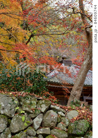 秋の富貴寺大堂　 84609744