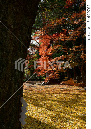 秋の富貴寺大堂 秋の富貴寺大堂 84609765