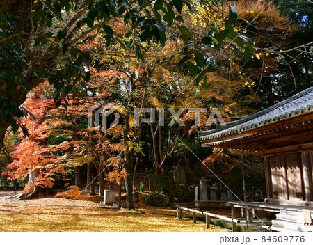 秋の富貴寺大堂 秋の富貴寺大堂 84609776