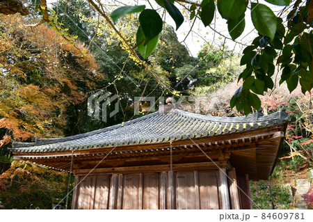 秋の富貴寺大堂　 84609781