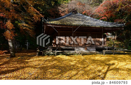 秋の富貴寺大堂 秋の富貴寺大堂 84609793