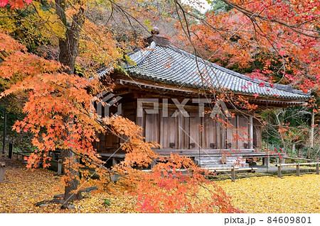 秋の富貴寺大堂　 84609801