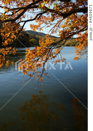 晩秋の一碧湖(大池) 晩秋の一碧湖(大池) 84609873