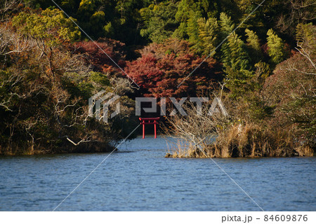 晩秋の一碧湖(大池) 84609876