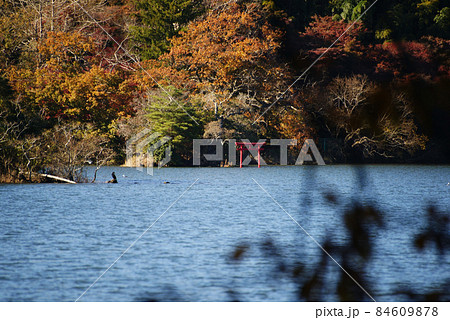 晩秋の一碧湖(大池) 84609878