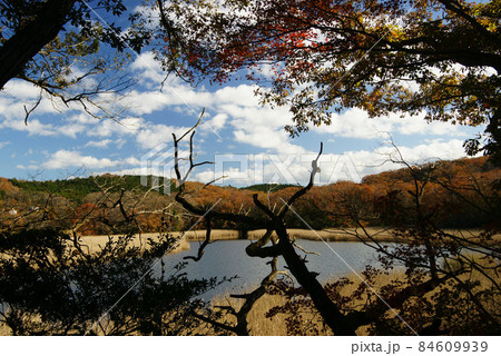 晩秋の一碧湖(沼池) 84609939