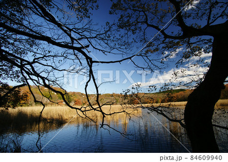 晩秋の一碧湖(沼池) 晩秋の一碧湖(沼池) 84609940