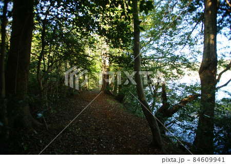 晩秋の一碧湖(沼池) 84609941