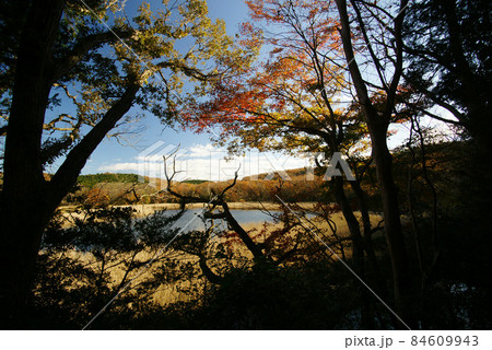 晩秋の一碧湖(沼池) 84609943