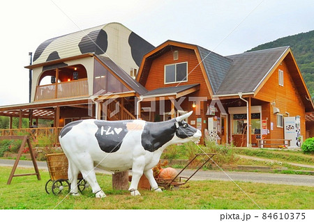 【広島県】牛のオブジェがある牧場　東広島 84610375