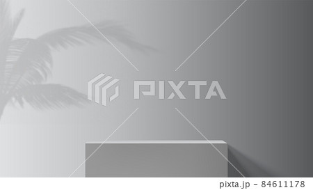 Grayscale studio background with palm branches Grayscale studio background with palm branches 84611178