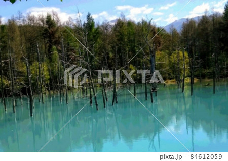 北海道 美瑛町白金の青い池 北海道 美瑛町白金の青い池 84612059
