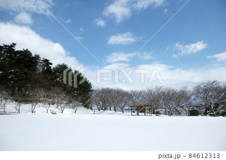 鳥取　四季の散歩　冬　青島 84612313
